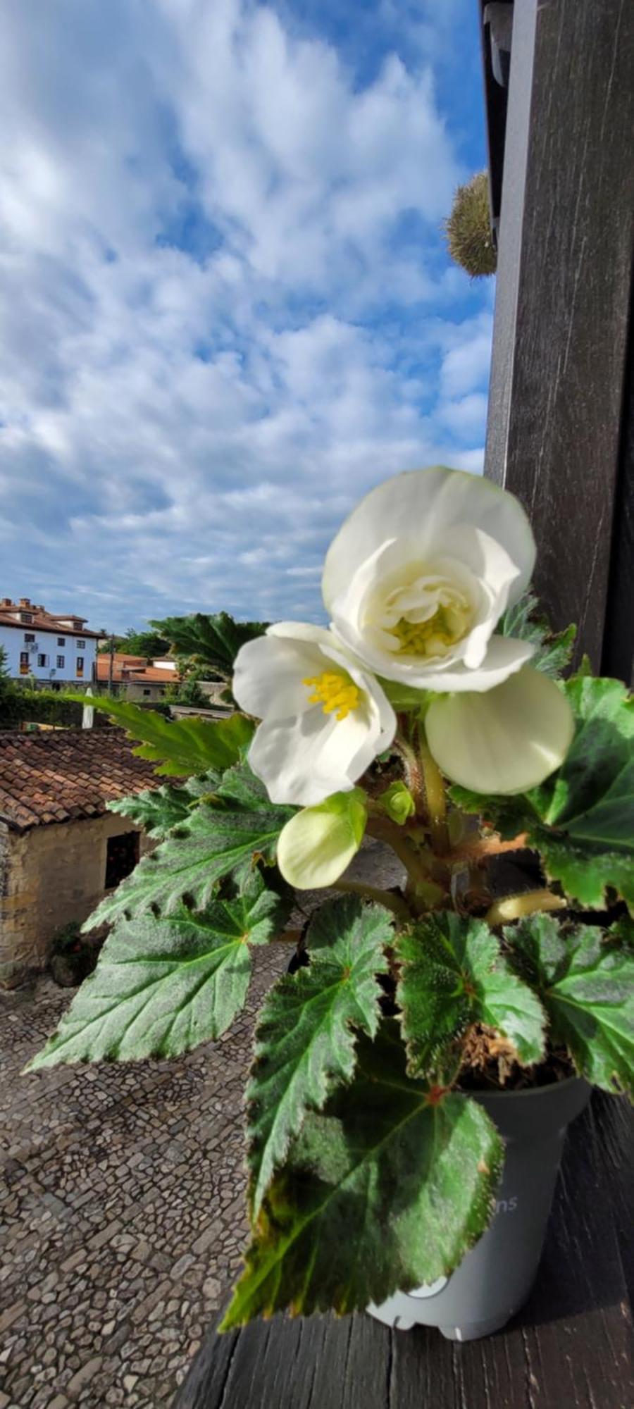 Casa Del Lavadero Appartement Santillana del Mar Buitenkant foto